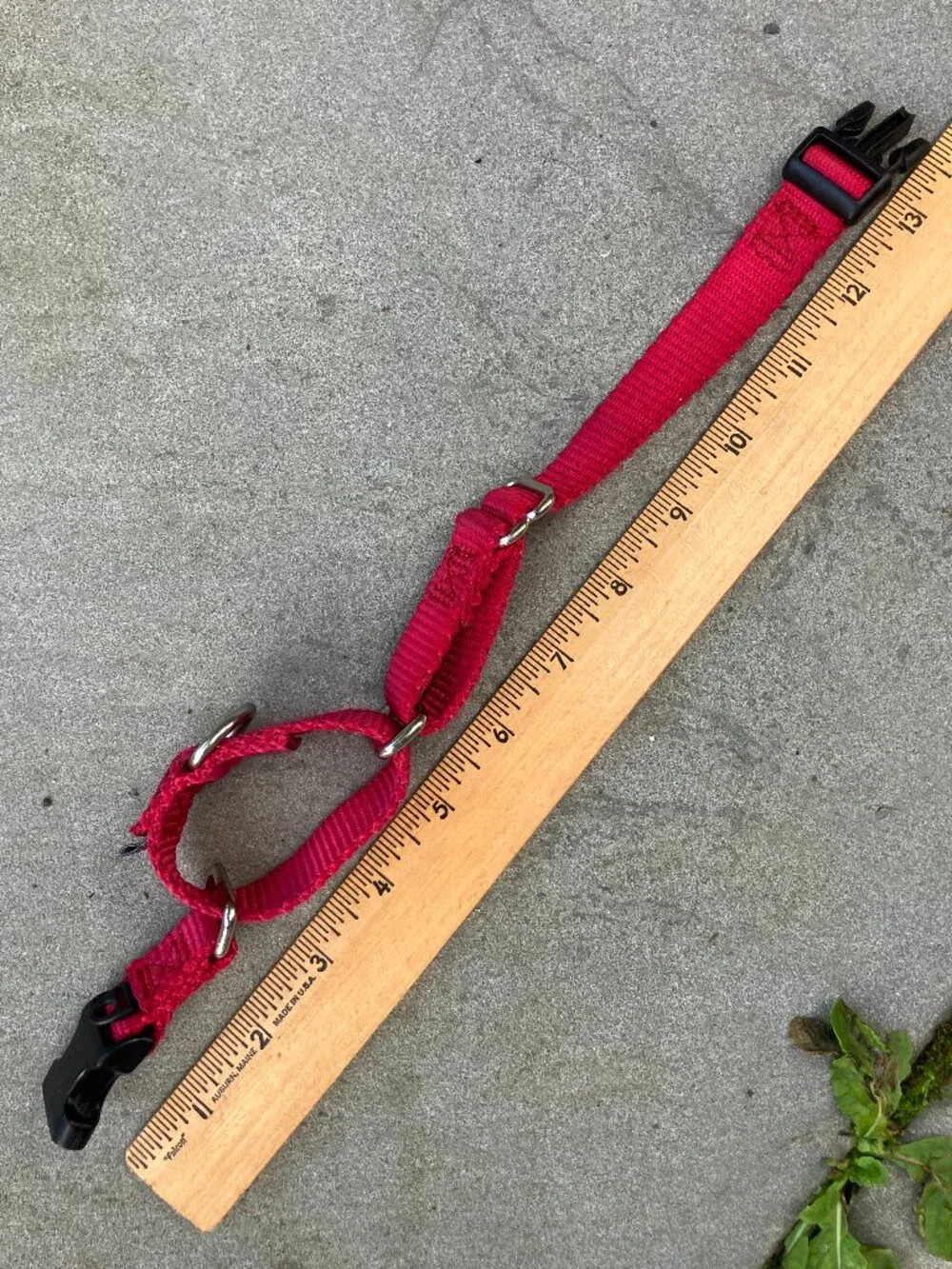 ❤️ PetSafe Adjustable Nylon Dog Collar – Red/Pink – Small 🐶